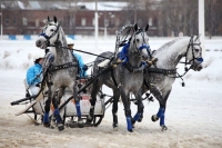 Русскую тройку предложили сделать национальным видом спорта