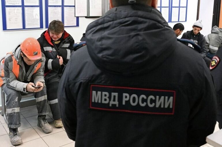 Мигрантов предлагают выдворять за призывы к санкциям против РФ