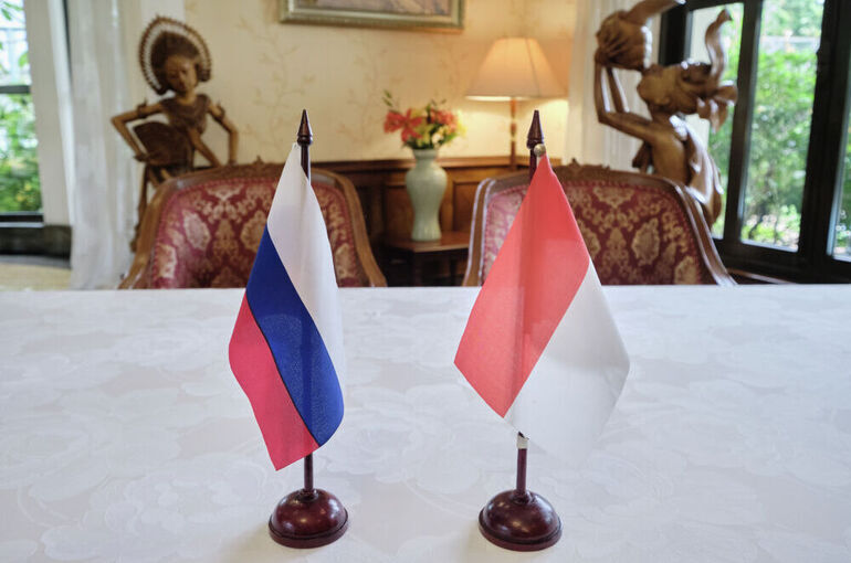 В Институте стран Азии и Африки рассказали о перспективах партнерства между ЕАЭС и Индонезией