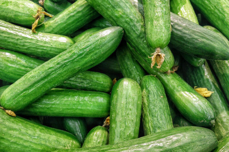 В России огурцы за неделю подешевели на 4,1%