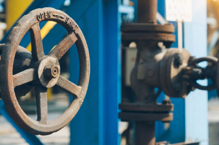 Политолог объяснил смену позиции Зеленского по транзиту нефти по «Дружбе»