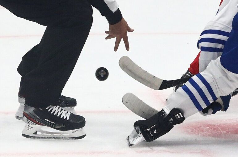 Минспорт предложил праздновать День хоккея 22 декабря