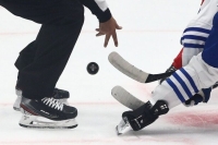 Минспорт предложил праздновать День хоккея 22 декабря