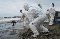 В Туапсе убрали более 2,5 тысячи кубометров загрязненного нефтью грунта