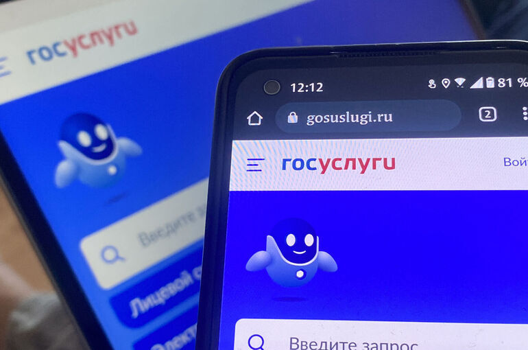 На «Госуслугах» можно будет пожаловаться на просьбу выключить VPN