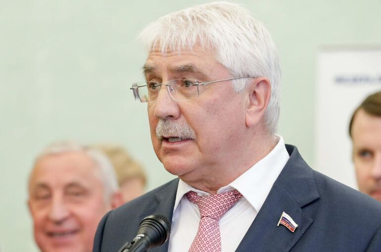 Депутат Чепа назвал возрождением нацизма планы ФРГ запретить георгиевские ленты