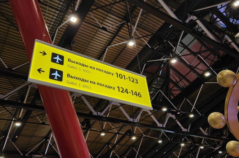 Минтранс предупредил об изменениях в расписании полетов в Москве из-за снегопада