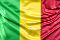 Эксперт считает, что атаки в Мали спланированы при участии специалистов из Франции и Украины