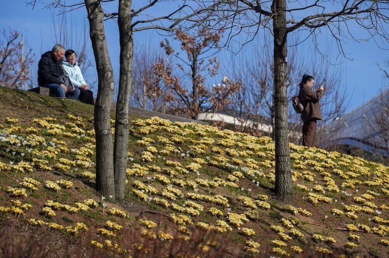 Москвичам пообещали потепление до +13 градусов 2 мая