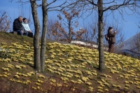 Москвичам пообещали потепление до +13 градусов 2 мая