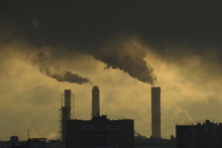 Терминологию закона об охране окружающей среды предложили привести к единообразию