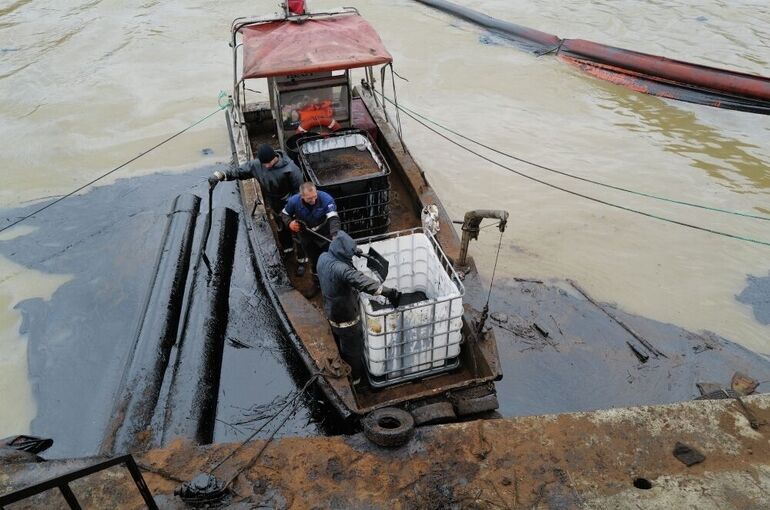 Куренков: В Туапсе прибудут 40 водолазов для обследования акватории моря