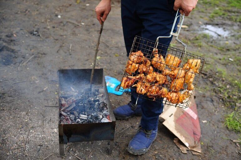 В Роспотребнадзоре рассказали о правилах приготовления и хранения шашлыка