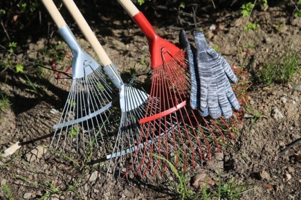 Волонтеры смогут претендовать на господдержку при благоустройстве территорий