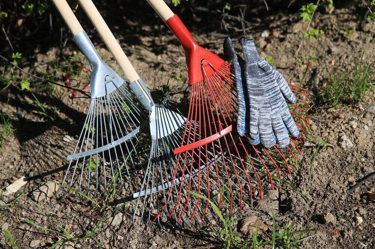 Волонтеры смогут претендовать на господдержку при благоустройстве территорий