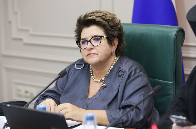 Сенатор назвала основные институты, участвующие в воспитательной работе 