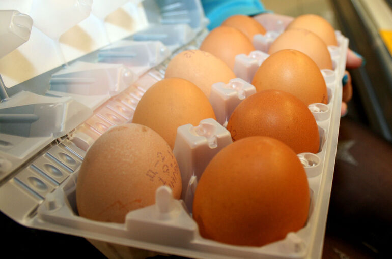 Цены на куриные яйца снижаются вторую неделю подряд