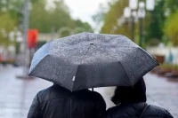 Синоптик Тишковец: «Черемуховые» холода придут в Москву во второй декаде мая