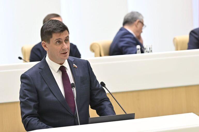 Сенатор Деньгин назвал рискованной идею сдачи криптовалюты в ломбард