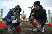 Волонтеров намерены привлечь к благоустройству