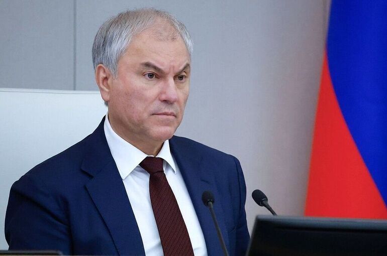 Володин: За январь — март 2026 года было аннулировано свыше 8 тысяч ВНЖ мигрантов