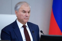 Володин: За январь — март 2026 года было аннулировано свыше 8 тысяч ВНЖ мигрантов