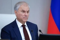 Володин: За январь — март 2026 года было аннулировано свыше 8 тысяч ВНЖ мигрантов