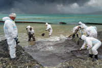 Почти 19 тысяч кубометров загрязненного грунта и водомазутной смеси собрали в Туапсе