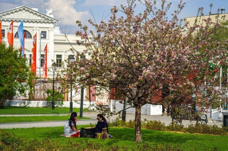 Синоптик: 30-градусная жара вернется в Москву только летом