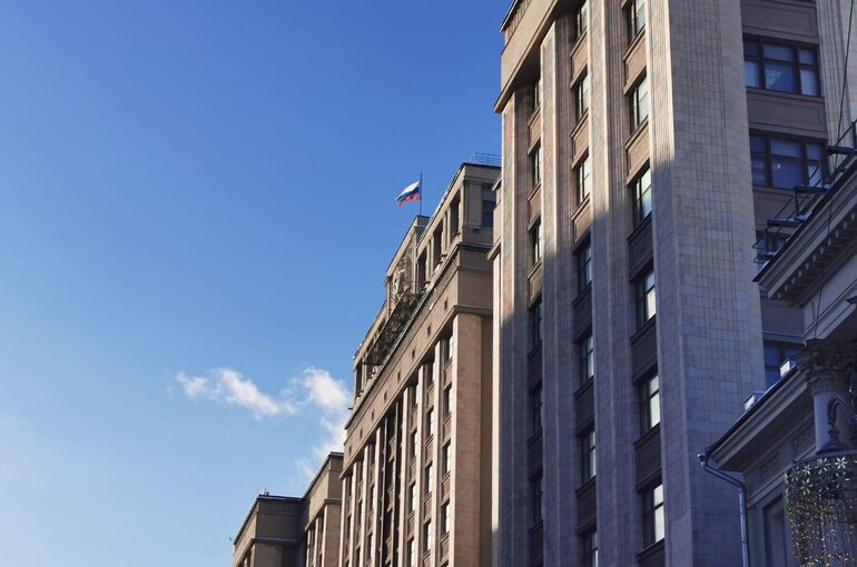 Совет Думы обратился к Мишустину по реализации приоритетного права родственников при усыновлении 