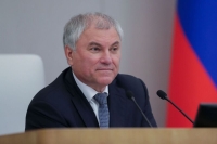 Володин рассказал о вкладе Президента РФ в развитие института защиты прав человека
