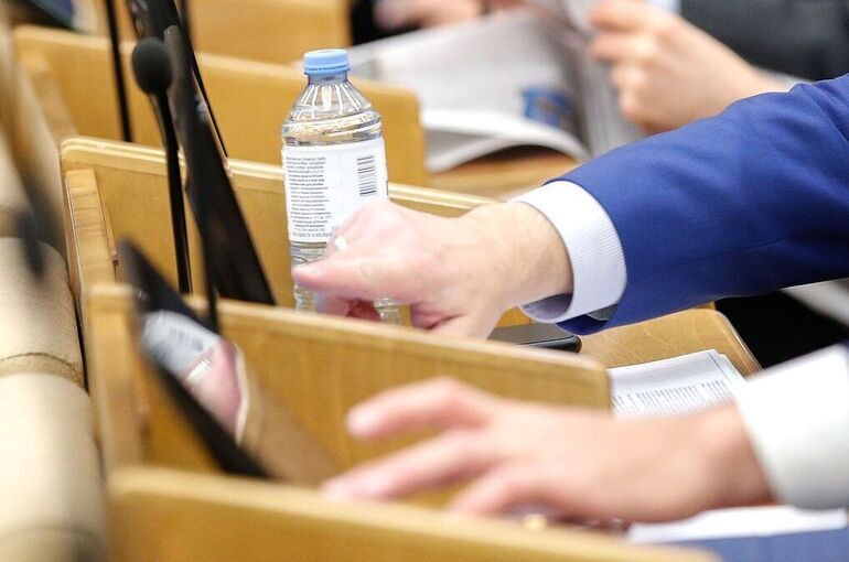 Госдума приняла поправки о субсидиях на государственные информационные системы 