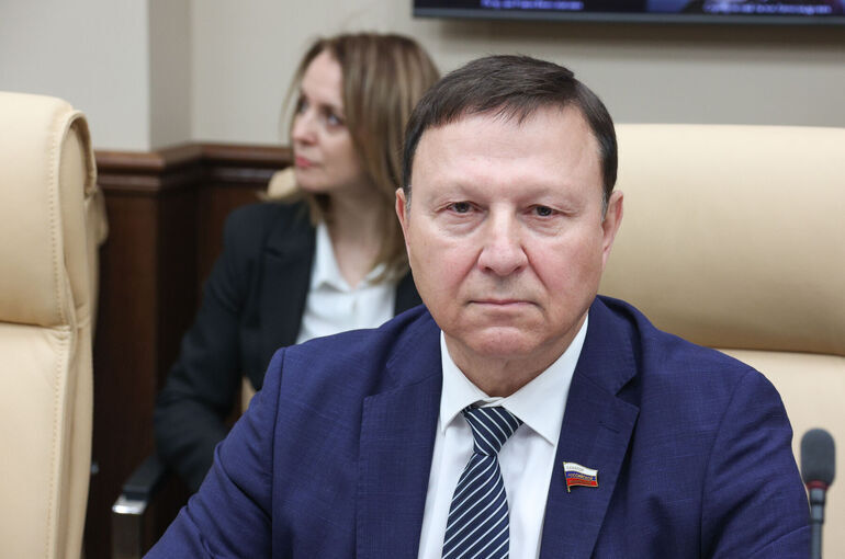 Сенатор Ролик назвал цель проекта Стратегии социально-экономического развития ДФО