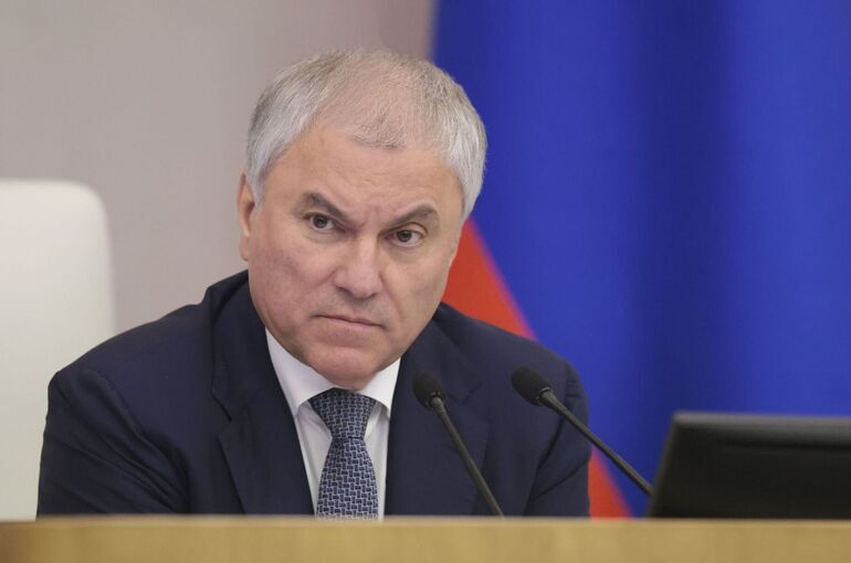 Володин направил в комитет Госдумы проект о присвоении статуса ветерана участникам разминирования в зоне СВО