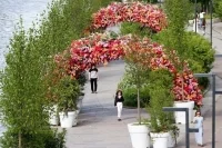 Синоптик: Трехдневная жара в Москве может побить прошлые рекорды