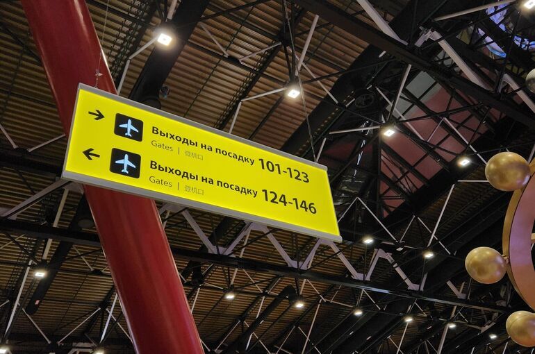 Пассажиры смогут пройти на посадку в самолет по биометрии