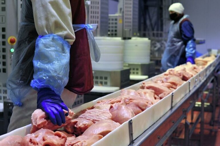 Матвиенко рассказала, что пензенскую продукцию из индейки покупают в 60 странах мира