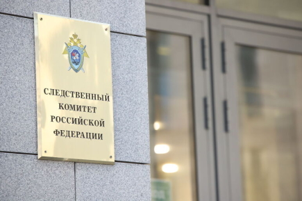 Самозанятую из Воронежа обвинили в мошенничестве из-за сокрытия дохода в 168 рублей