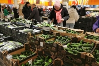 Огурцы в России подешевели на 10,9% с 13 по 18 мая