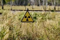 Зона Чернобыльской АЭС стала местом обитания крупных млекопитающих