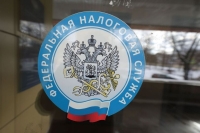 ФНС рассказала, как часто ограничивают должников в распоряжении имуществом