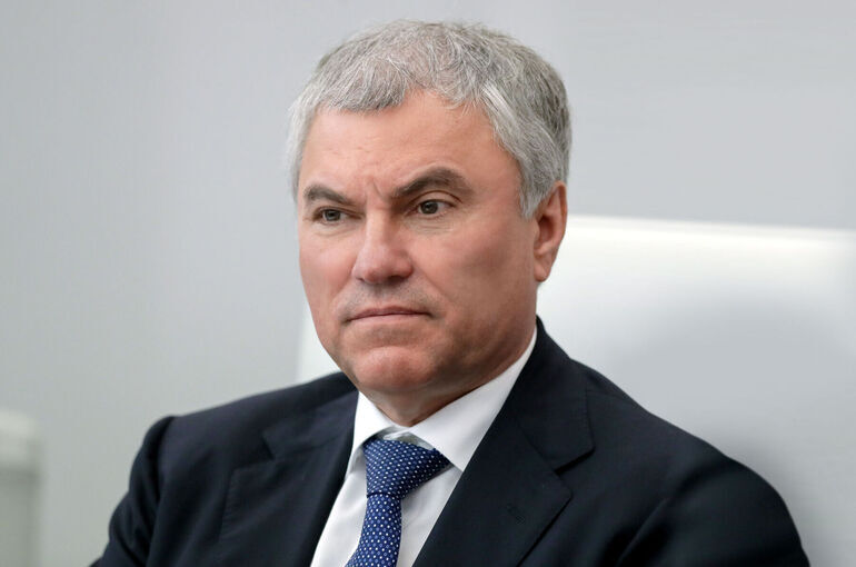 Володин: Зависимость от гаджетов приводит к снижению рождаемости