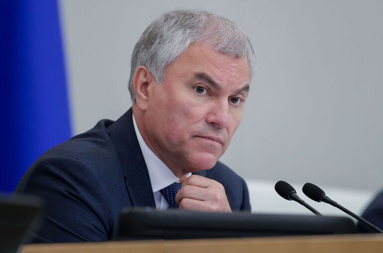 Володин: Меру ответственности вредивших РФ релокантов определит суд