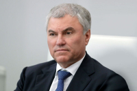 Володин: Зависимость от гаджетов приводит к снижению рождаемости
