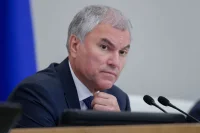 Володин: Меру ответственности вредивших РФ релокантов определит суд