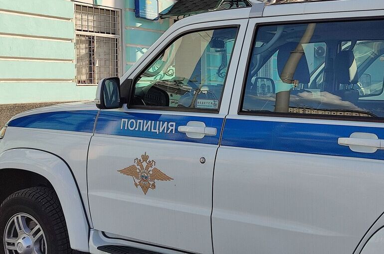 В Москве после драки на свадьбе задержали 33 иностранца