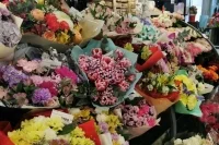 Россельхознадзор: Проверки армянских предприятий будут продолжаться еще неделю