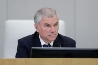 Володин: Расширяются меры поддержки многодетных семей