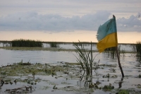 Зеленский отклонил предложение Мерца об ассоциированном членстве Украины в ЕС