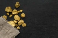 В Забайкалье задержали группу, незаконно выдававшую лицензии на золотодобычу